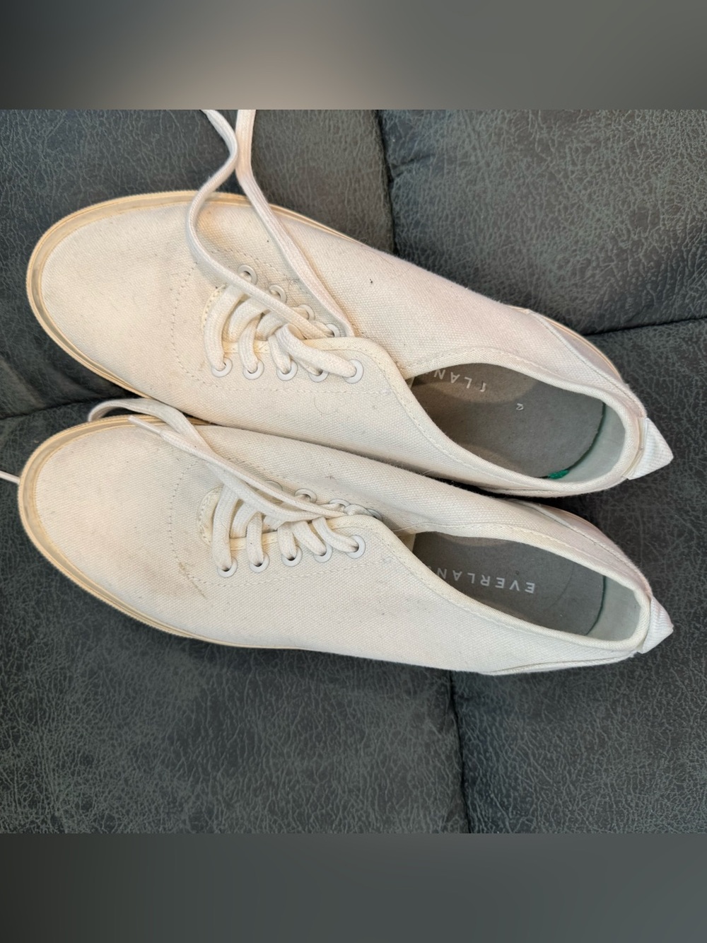 Everlane Natural Canvas Low-Top Sneakers